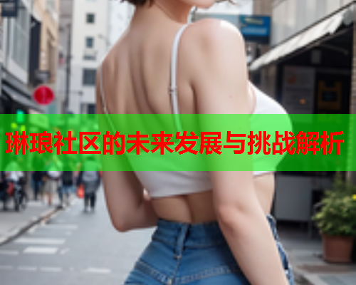 琳琅社区的未来发展与挑战解析  第1张
